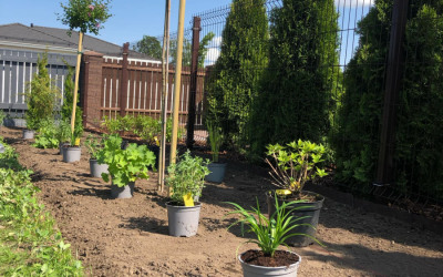 foto-14