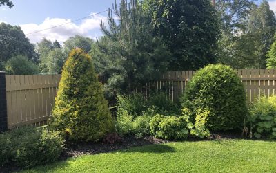 foto-26