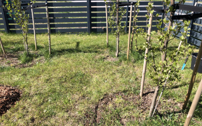 foto-53