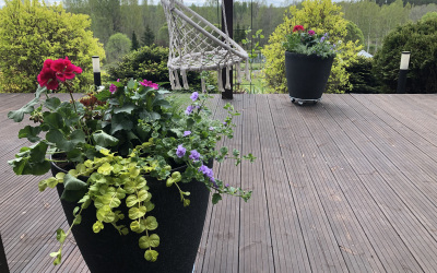 foto-52