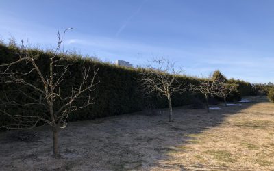 foto-33