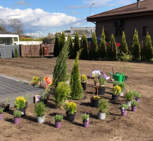 Screenshot 2025-10-31 130222