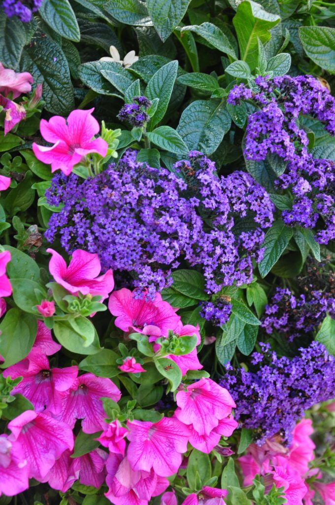 pexels-2148518852-34087877