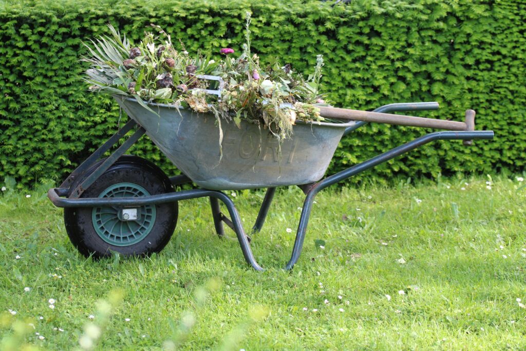 pexels-photo-26827231-26827231 Old wheelbarrow filled with garden waste and weeds in a lush green backyard.